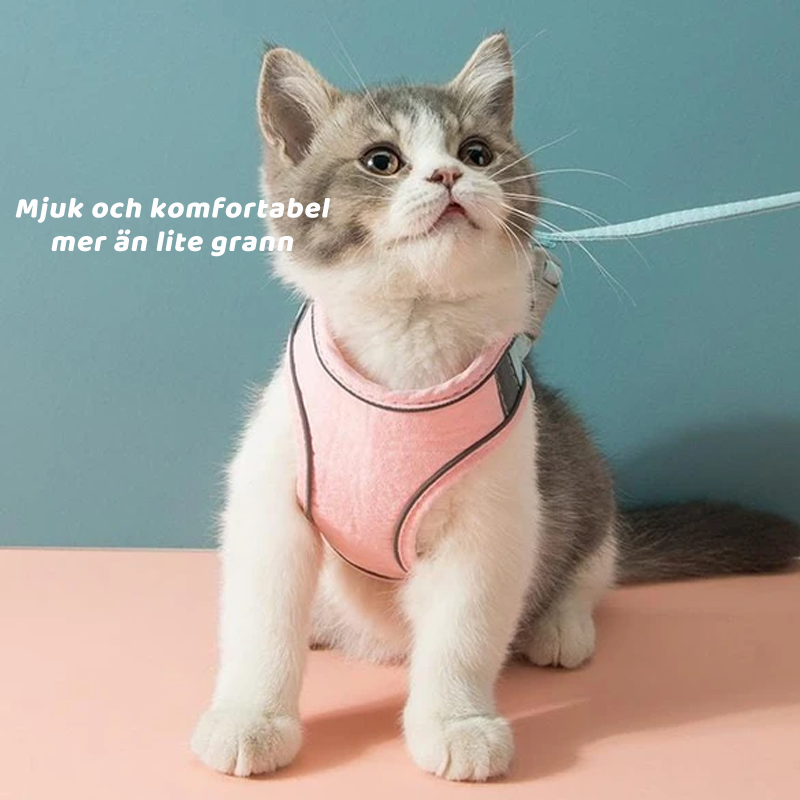 Kattvästsele Och Koppeluppsättning